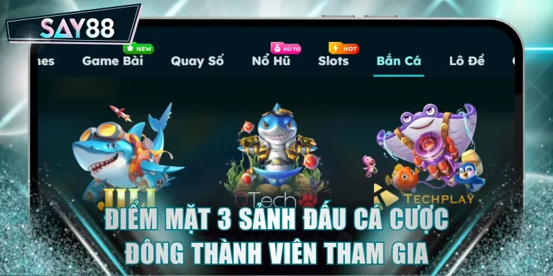 Điểm mặt 3 sảnh đấu cá cược đông thành viên tham gia